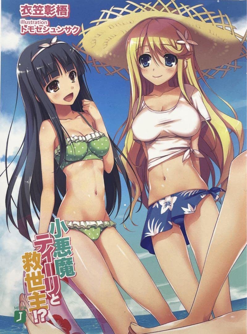 Amazon.co.jp: 小悪魔ティーリと救世主!? 着せ替えブックカバー : Toys